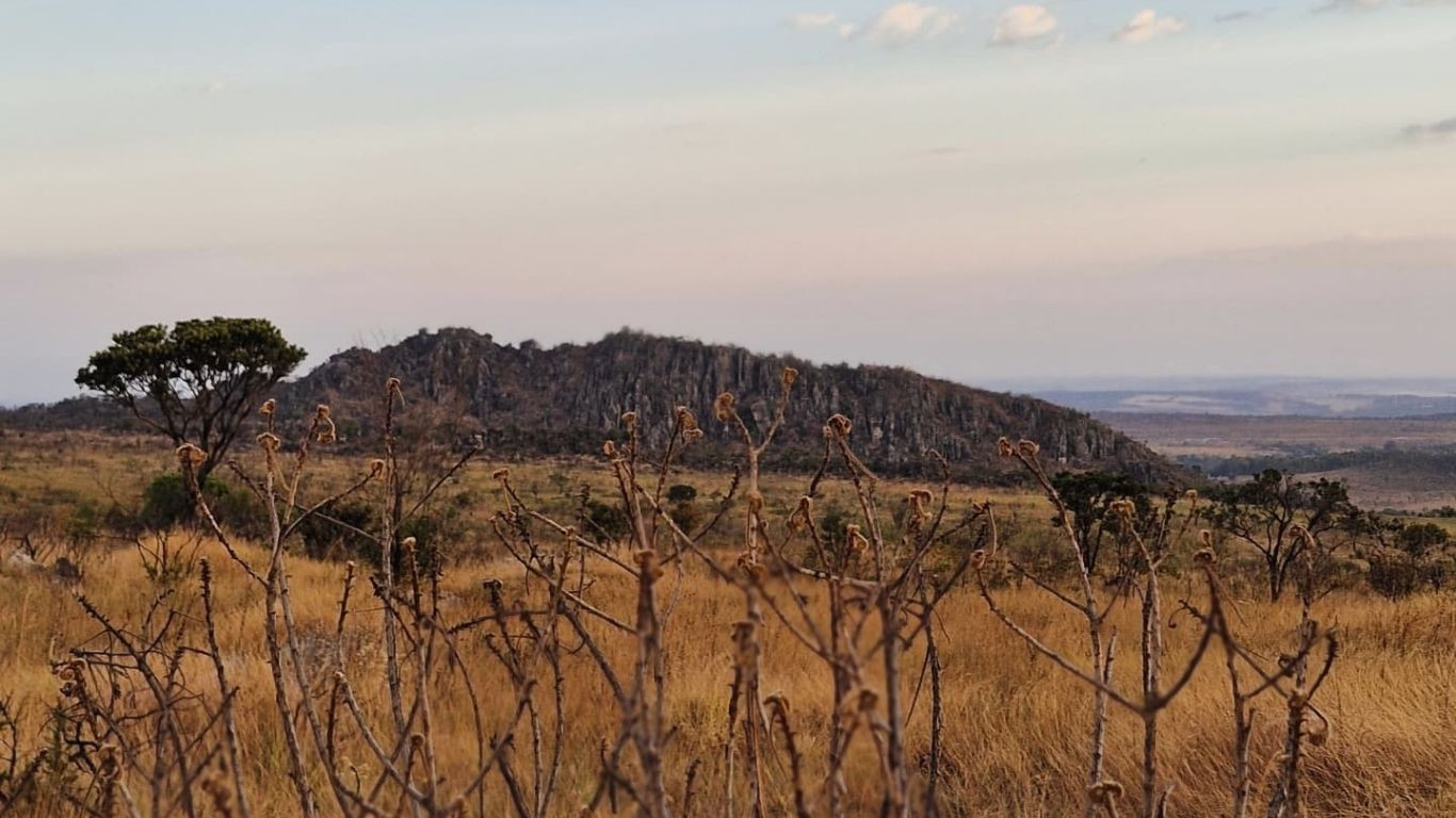 Brigadas comunitárias reforçam combate a incêndios florestais em Goiás